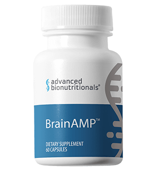 BrainAMP Review